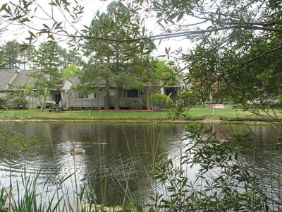 Condo Building from across lake